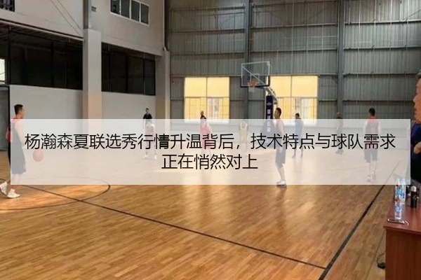 杨瀚森夏联选秀行情升温背后，技术特点与球队需求正在悄然对上